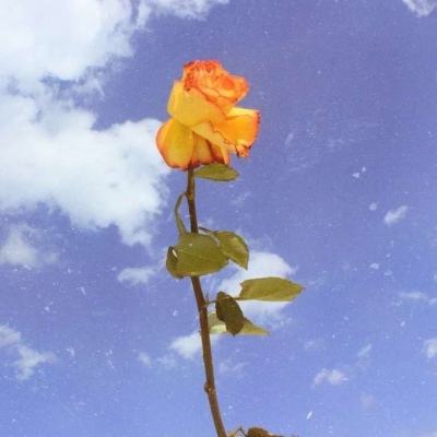 归龙吟手游下载